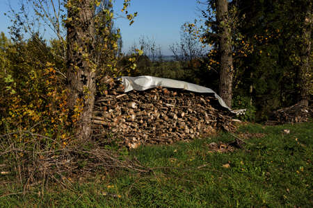 firewood in pile outdoor standing in grass at autumn