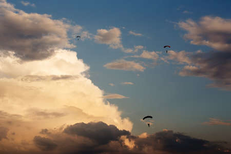 silhouettes of unidentified skydivers parachutist on blue sky on sunset