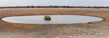 Empty waterhole in namibia game reserve, Etosha, national, Park, Ombika, Kunene, Namibiaの写真素材