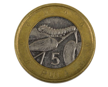 Detail of Botswana Pula coin. Botswana Pula is the national currency of Botswana