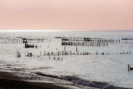 Bali, Nusa Penida Island, Toyapakeh, Indonesia - Plantations of seaweed, algae at low tide with blue skyの写真素材