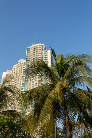 Jakarta high-rise buildings on danau Ancol, near sea with coco palm in frontのeditorial素材