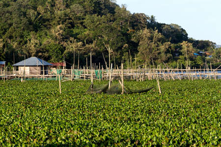 Fish farm and hatchery or nursery, Lake Tondano, Sulawesi, Indonesia (Celebes), Asiaのeditorial素材