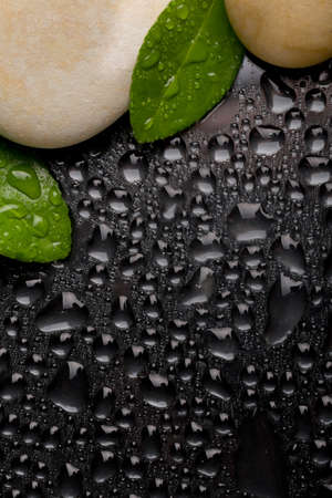 pebble stones and green leaf with water drop, ZEN stone, on black background, spa tranquil scene concept with reflection, backdropの写真素材