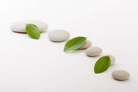 pebble stones and green leaf, like ZEN stone, spa tranquil scene conceptの写真素材