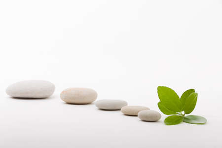 pebble stones and green leaf, like ZEN stone, spa tranquil scene conceptの写真素材