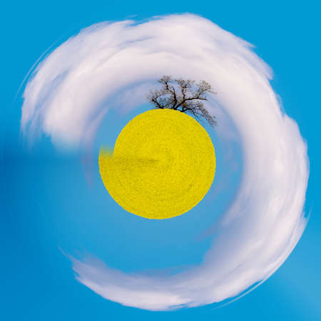 Tiny planet of rural landscape with rape field and blue sky. Rural landscape. Spring landscape. Yellow rape field in countryside. Beautiful Little planet, ecology concept. Tiny yellow planetの写真素材