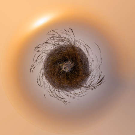 Planet of cold misty morning sunrise landscape over grass warm tone. Little planet with grass,...