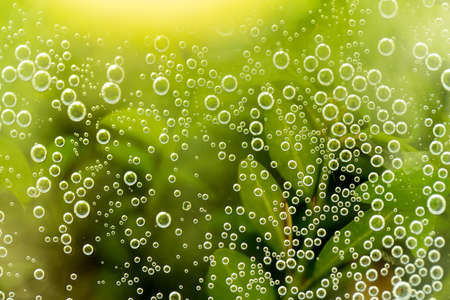 green abstract background with sparkle water drops on glass for background or backdrop. Sparkle...