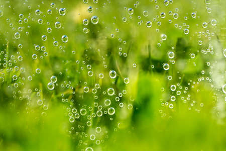 green abstract background with sparkle water drops on glass for background or backdrop. Sparkle...