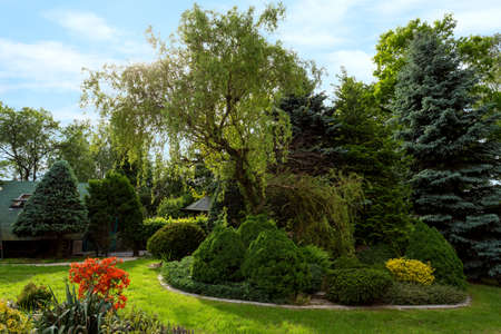 Beautiful spring garden design, with conifer trees, green grass and eneving sun. Luxury design, Gardening. Green garden in spring with flowers and blue skyの写真素材