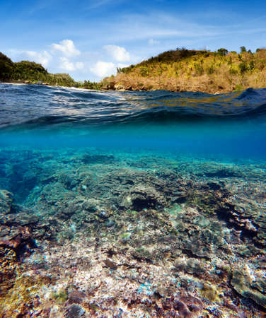Underwater and surface split view in the tropics paradise with fish and coral reef, above waterline,...