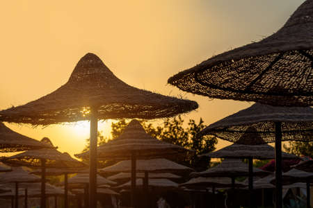 Beach umbrellas and sunset background in egypt paradise beach. holiday summer vacation concept. No People. Tranquil scene.の写真素材