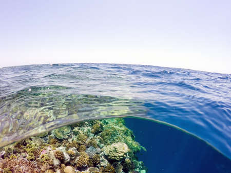 Underwater and surface split view in the tropics paradise with fish and coral reef, above waterline, beautiful view on pier on red sea. Egypt, snorkeling vacation conceptの写真素材