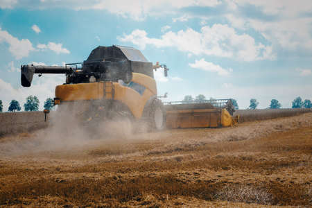 Yellov harvester automatic combine on field harvesting wheat in sunny weather. Agriculture summer scene. Harvesting conceptの写真素材