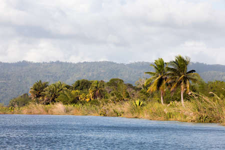 Madagascar river Antainambalana delta landscape in Tamatave province near Maroantsetra. Countriside...