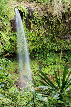 Small waterfall in Amber mountain national park with richest biodiversity. Madagascar virgin nature...