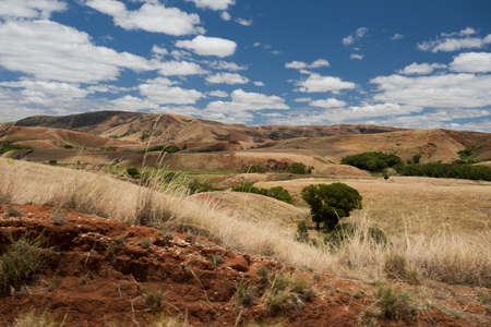 Traditional Madagascar highland landscape. Deforestation in Madagascar creates agricultural or pastoral land but can also result ecology problem with soil and water. Madagascarの写真素材