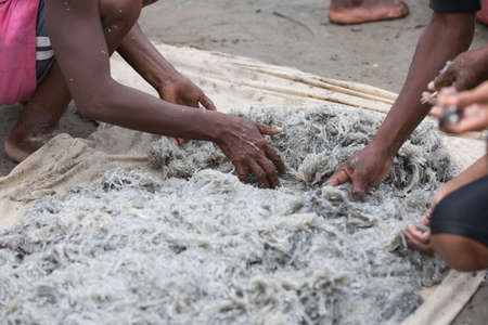 MAROANTSETRA, MADAGASCAR OCTOBER 19.2016 Native fishermen fishing on sea, using traditional technique pulling net from boat. Life of indigenous peoples in countryside. October 19. 2016, Madagascarのeditorial素材