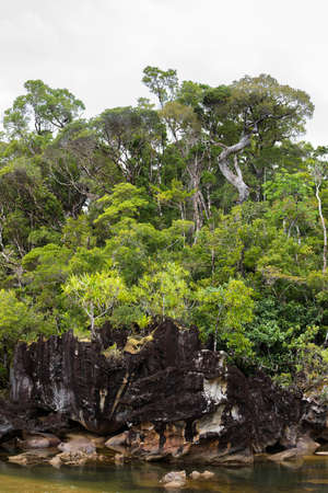 Beautiful pure nature landscape, Masoala National Park, in front rock and in back rainforrest, Madagascar picturesque wilderness nature scene.の写真素材