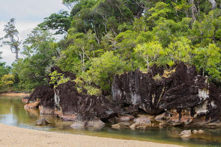 Beautiful pure nature landscape, Masoala National Park, in front rock and in back rainforrest, Madagascar picturesque wilderness nature scene. の写真素材