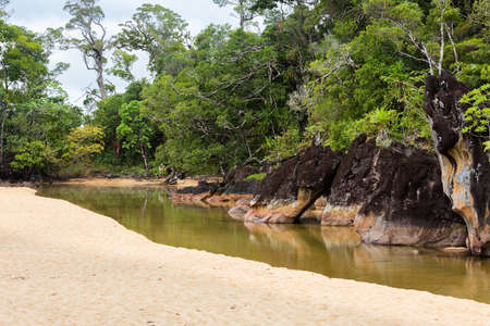 Beautiful pure nature landscape, Masoala National Park, in front rock and in back rainforrest, Madagascar picturesque wilderness nature scene.の写真素材