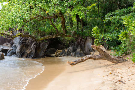 Beautiful pure nature landscape, beach in Masoala National Park, Madagascar overcast picturesque wilderness nature scene.の写真素材