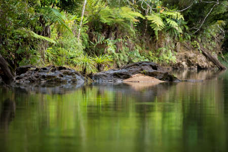 Beautiful pure nature landscape, Masoala National Park, small river in rainforrest, Madagascar picturesque wilderness nature scene. の写真素材