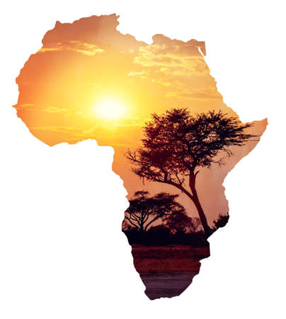 African sunset with acacia, Map of africa continent concept, Africa safari nature wilderness conceptの写真素材