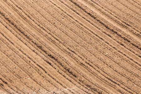 Beautiful spring rural landscape with plowed field curves. Rural landscape. Countryside curve background.の写真素材