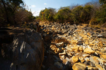 stone river bed during the dry season, Ankarana reserve, Madagascar wilderness landscapeの写真素材