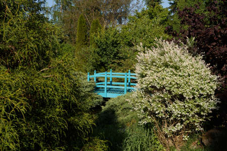 small green footbridge over a garden pond. Spring time color.の写真素材