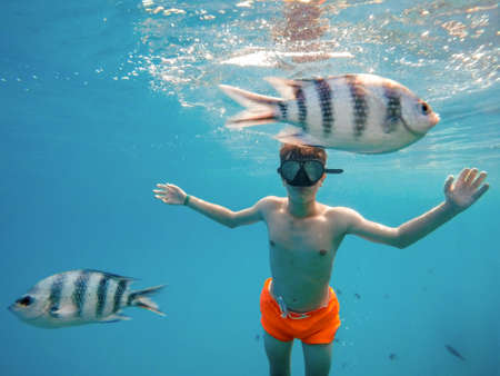 Young boy snorkel swim in underwater exotic tropics paradise with fish. Marsa alam, Egypt. Summer holiday vacation conceptの写真素材