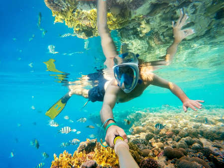 Snorkel swim in underwater exotic tropics paradise with fish and coral reef, beautiful view of tropical sea. Marsa alam, Egypt. Summer holiday vacation conceptの写真素材
