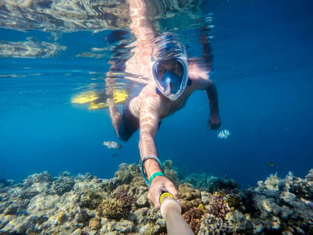Snorkel swim in underwater exotic tropics paradise with fish and coral reef, beautiful view of tropical sea. Egypt, Marsa Alam. Summer holiday vacation conceptの写真素材