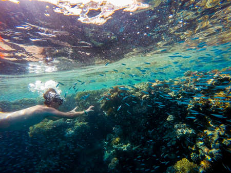 Young boy snorkel swim in underwater exotic tropics paradise with school of fish on coral reef,...