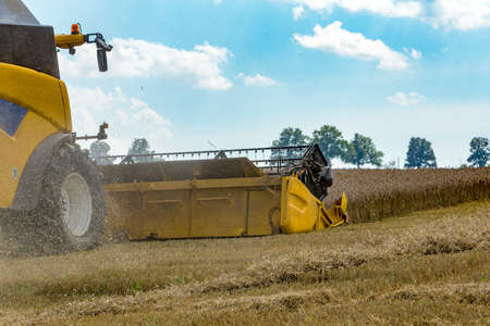 Yellow harvester automatic combine on field harvesting wheat in summer. Agriculture harvesting conceptの写真素材