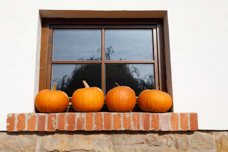 ripe autumn pumpkins arranged on windows as pleasing fall still life. Rural countryside sceneの写真素材