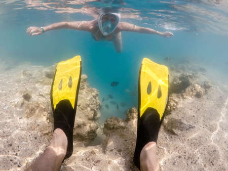 Woman snorkel swim in underwater exotic tropics paradise with school of fish and coral reef, beautiful view of tropical sea. Marsa alam, Egypt. In front Diving Finsの写真素材