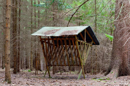 Hunting Feeder with roof for roe deer and wild animals in forest.の写真素材
