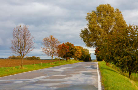 country rural road in the autumn with yellow trees in sunny day. Fall colored trees and village church.の写真素材