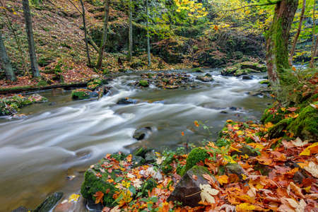 czech mountain wild river Doubrava in Czech Republic with slow shutter speed. Valley in beautiful autumn fall colors. Picturesque landscape.の写真素材