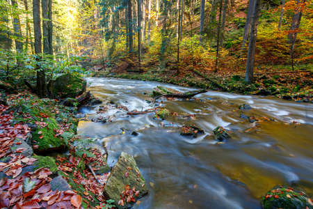 czech mountain wild river Doubrava in Czech Republic with slow shutter speed. Valley in beautiful autumn fall colors. Picturesque landscape.の写真素材