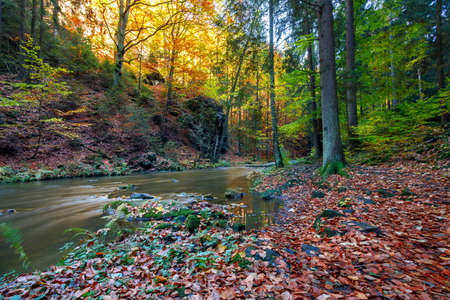 czech mountain wild river Doubrava in Czech Republic with slow shutter speed. Valley in beautiful autumn fall colors. Picturesque landscape.の写真素材