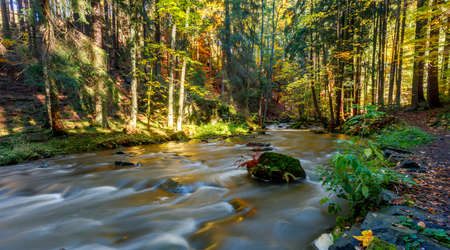 czech mountain wild river Doubrava in Czech Republic with slow shutter speed. Valley in beautiful autumn fall colors. Picturesque landscape.の写真素材