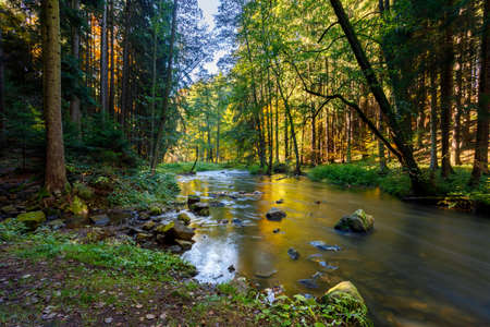 czech mountain wild river Doubrava in Czech Republic with slow shutter speed. Valley in beautiful autumn fall colors. Picturesque landscape.の写真素材