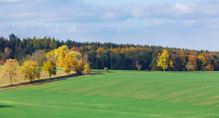 Autumn landscape with fall colored trees and blue sky in sunny dayの写真素材