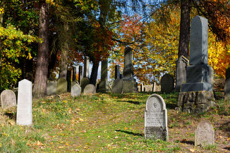 forgotten and unkempt Jewish cemetery with the strangers with fall colors in autumn seasonの写真素材