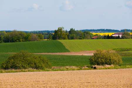 Beautiful spring rural agriculture landscape. Europe highland.