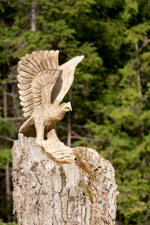 big wooden eagle statue, Bird of Prey in forestの写真素材